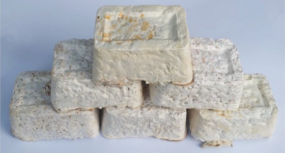 The Myco Files: Myco-materials