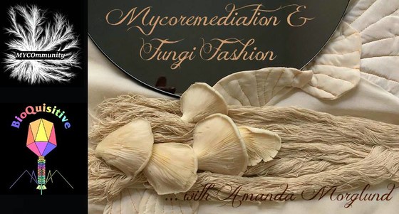 Introduction to Mycoremediation