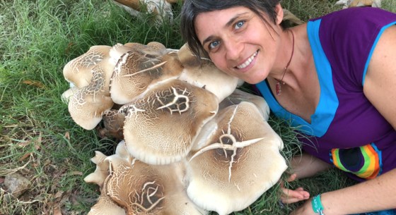 Fungi and the Soil Food Web with Dr. Sandra Tuszynska (Online)