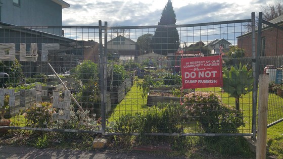 Working bee at Luscombe Community Gardens