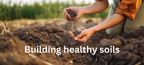 Building healthy soils workshop