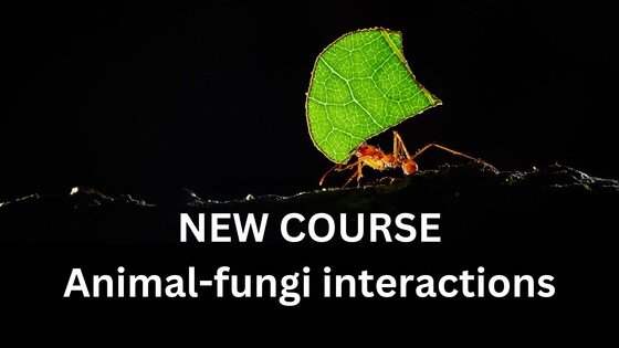 Animals and fungi: online course waiting list