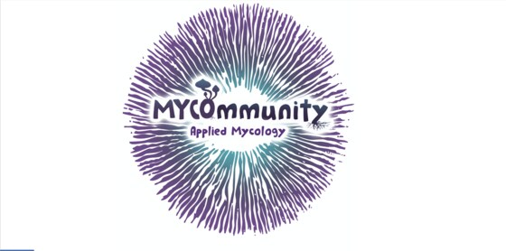 MYCOmmunity social night