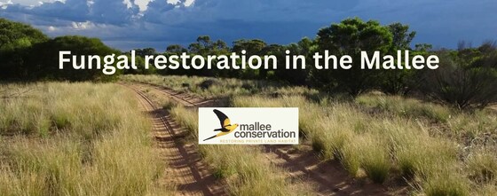 Fungal restoration in the Mallee