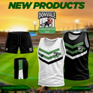 Reversable Training Singlet image 1