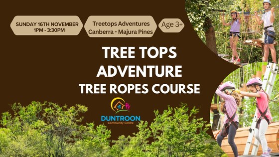 Tree Tops Adventure