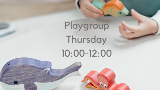 Thursday Playgroup Term 3 2022