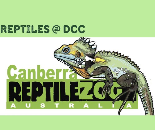 Reptiles @ DCC - 2 April 2023
