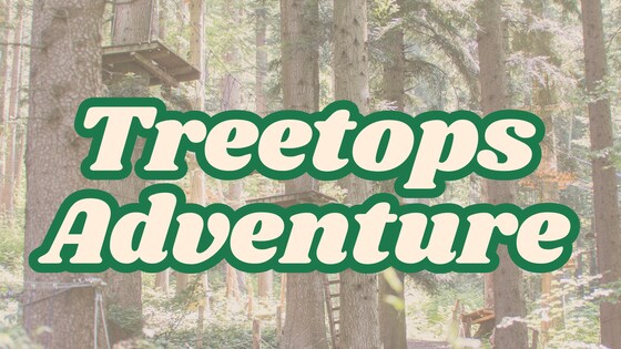 Treetops Adventure