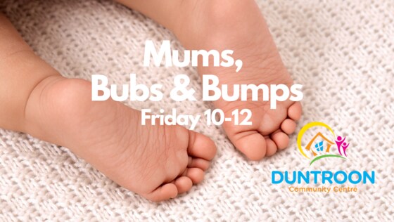 Mums. Bubs and Bumps - Term 4 
