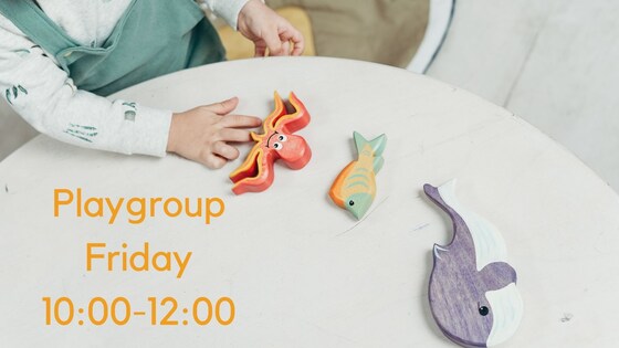 Friday Playgroup 2022 Term 1