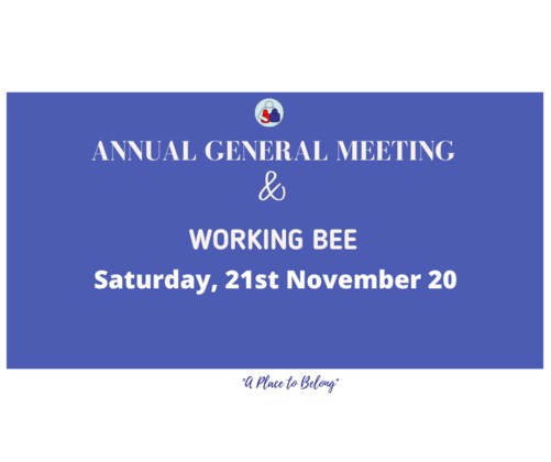 DCC AGM and Working Bee