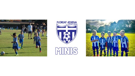 MINIs Program - Term 2