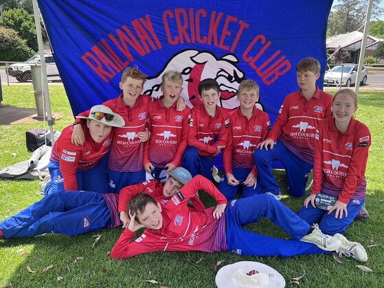 Junior Cricket Season - intent to play