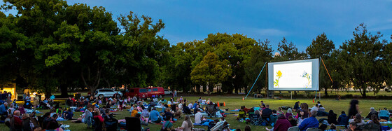 Cinema Under the Stars