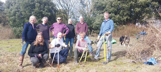 Privet Bashing part II