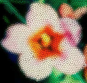 May Bee Group meeting