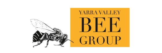 October YVBG Meeting