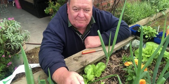 YV Bee Group meeting - online June 28th