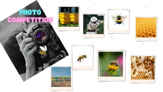 October Yarra Valley Bee Group Meeting  