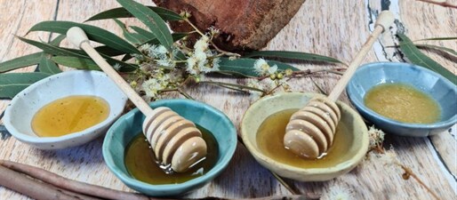 June Bee Group meeting - Honey tasting