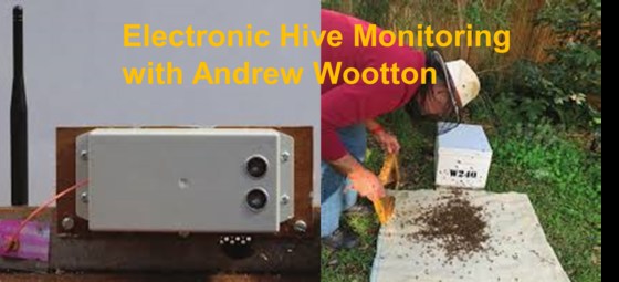 October online Bee Group meeting 