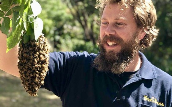 April Bee Group meeting