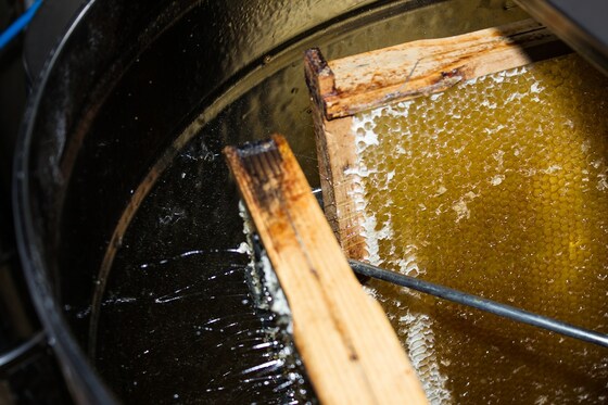 Reminder - Honey Co-op Extraction Day - 13th and 14th April