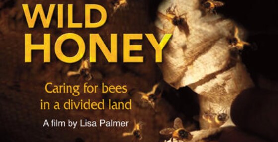 February Bee Group meeting - 2021