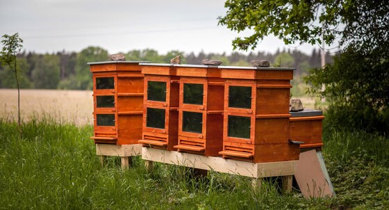 June YV Bee Group Meeting - innovation behind the Thermosolar beehive