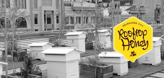 August Bee Group meeting - 2020