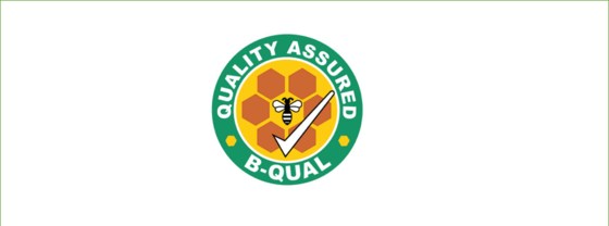 September Bee Group meeting - 2020