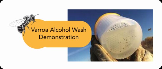 February YV Bee Group Meeting - Varroa Alcohol wash demonstration