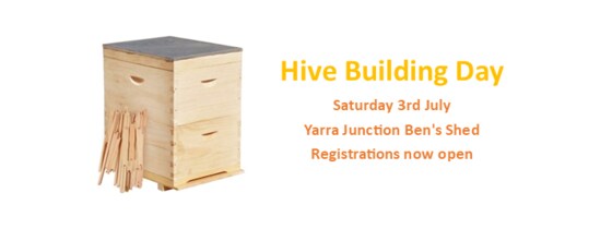 Hive Building Day
