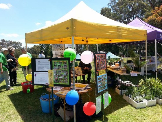 Kilsyth Chelodinia Festival