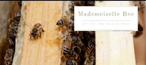 May Bee Group meeting