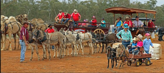 Good Old Days Festival, Barellan NSW