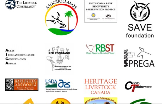 International Heritage Breeds Week 15-21 May 2022 RBTA Auction