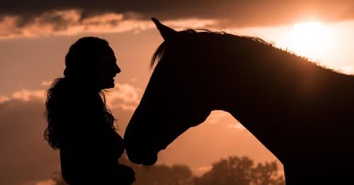 W.A. Horse Project, fund-raiser.