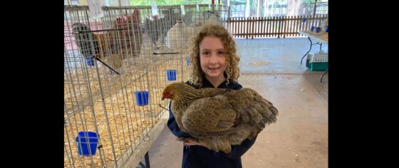 Darwin & Rural Poultry Club Show, N.T.