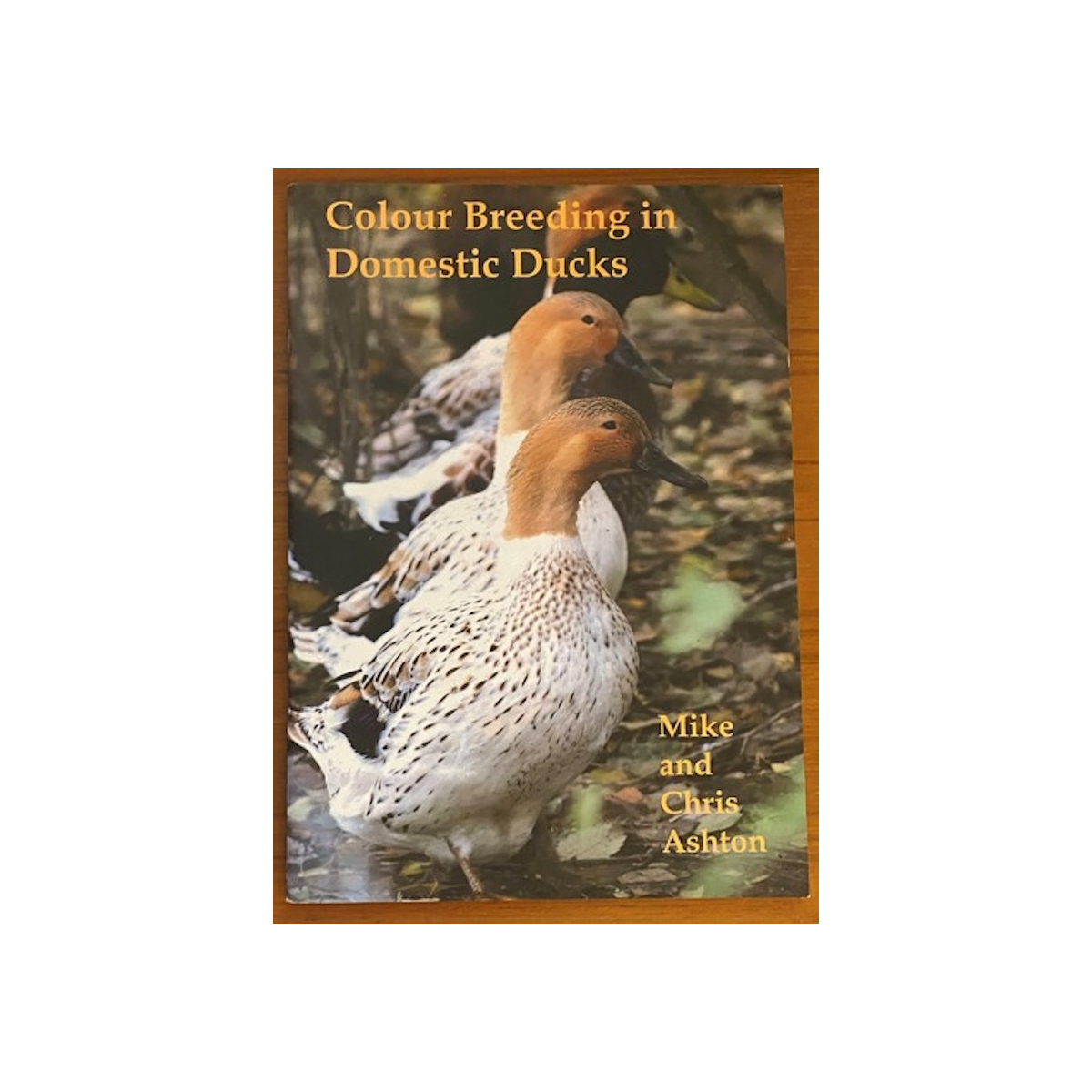 Preloved Book. Colour Breeding in Domestic Ducks.  Mike and Chris Ashton. 2007