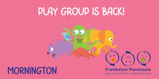 Multiples Playgroup - Mornington