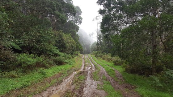 Old Coach Rd, Victorian Style Take 2! – 13th – 15th Feb 2025