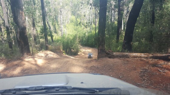Mt Robertson Day Trip - Sat April 27th