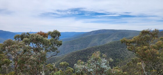 My Bluff ‘n’ Butcher Birthday VHC Trip – Fri 20th May to Sun 24th May 2026