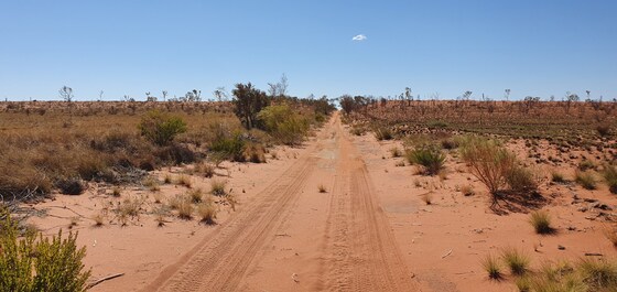 The Canning Ball Run- 28th July - 11th August 2026