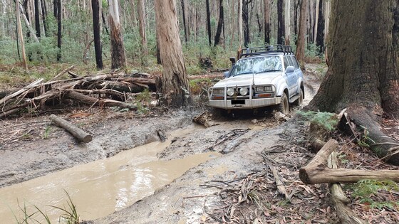 A day in Tallarook – 5th Oct 2024