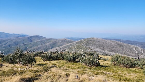 Deddick Track Take 3 – 26th – 30th Dec 2024