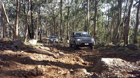 A Day at Tallarook – Sat 29th June 2024