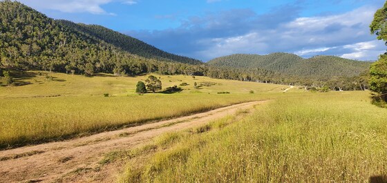 Cup Day Alpine NP Explorer – 30th Oct to 3rd Nov 2026
